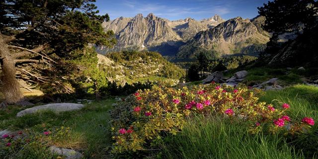 Col·lectius del món rural, ambiental i conservacionista reclamen que s’agilitzin els tràmits per la creació de l’Agència de la Natura