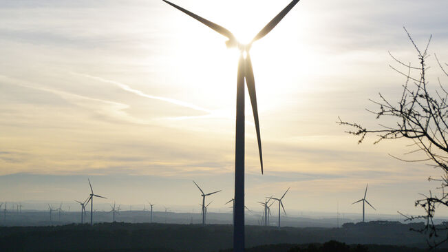 La Federació Ecologistes de Catalunya demanem la derogació del nou decret d’energies renovables