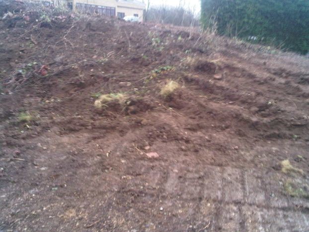 Sett bulldozed 'accidentally'