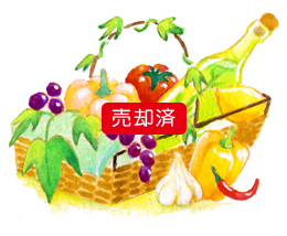 野菜と果物かごのイラスト（ぶどう・ハーブボトル・にんにく）