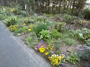 Spring flowerbed 