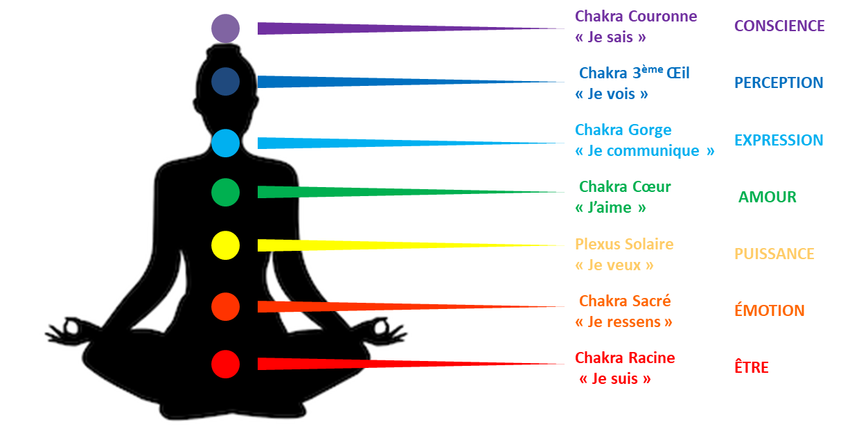 les 7 CHAKRAS - Armonia