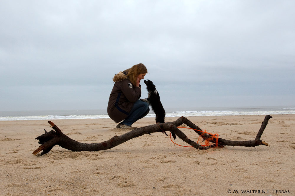 Am Strand / On the beach