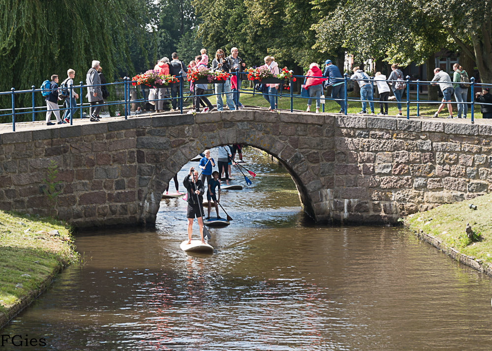StandUp_Paddeling in Friedrichstadt 2019 Ortskulturring ABSSV
