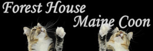 Foresthouse Cattery