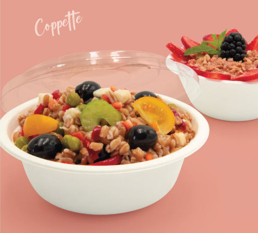 CONTENITORI ALIMENTI DA ASPORTO TORINO