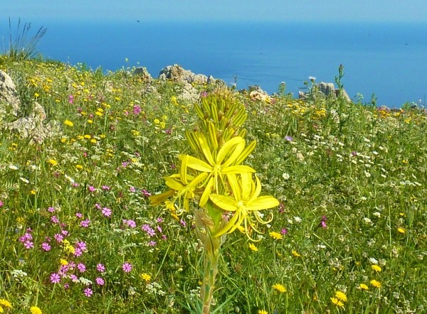 Sicile avril 2013 