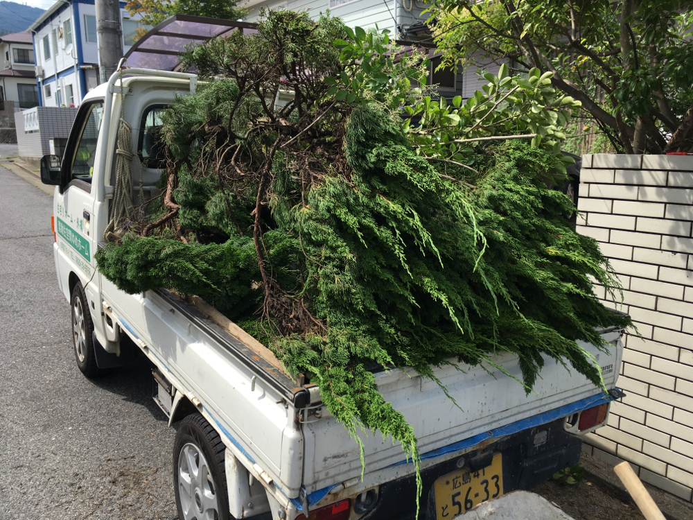 いけない は に 木 庭 て 植え