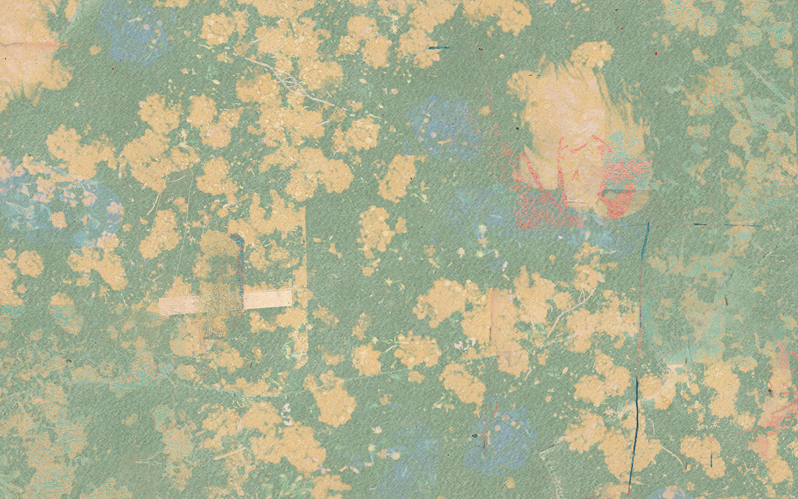 Start paulasteins Webseite!