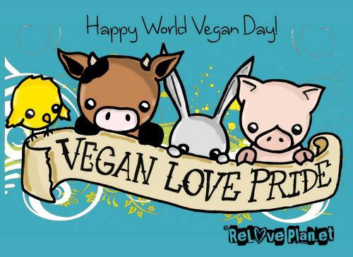 Spruche Witze Bilder Vegan Infos Webseite