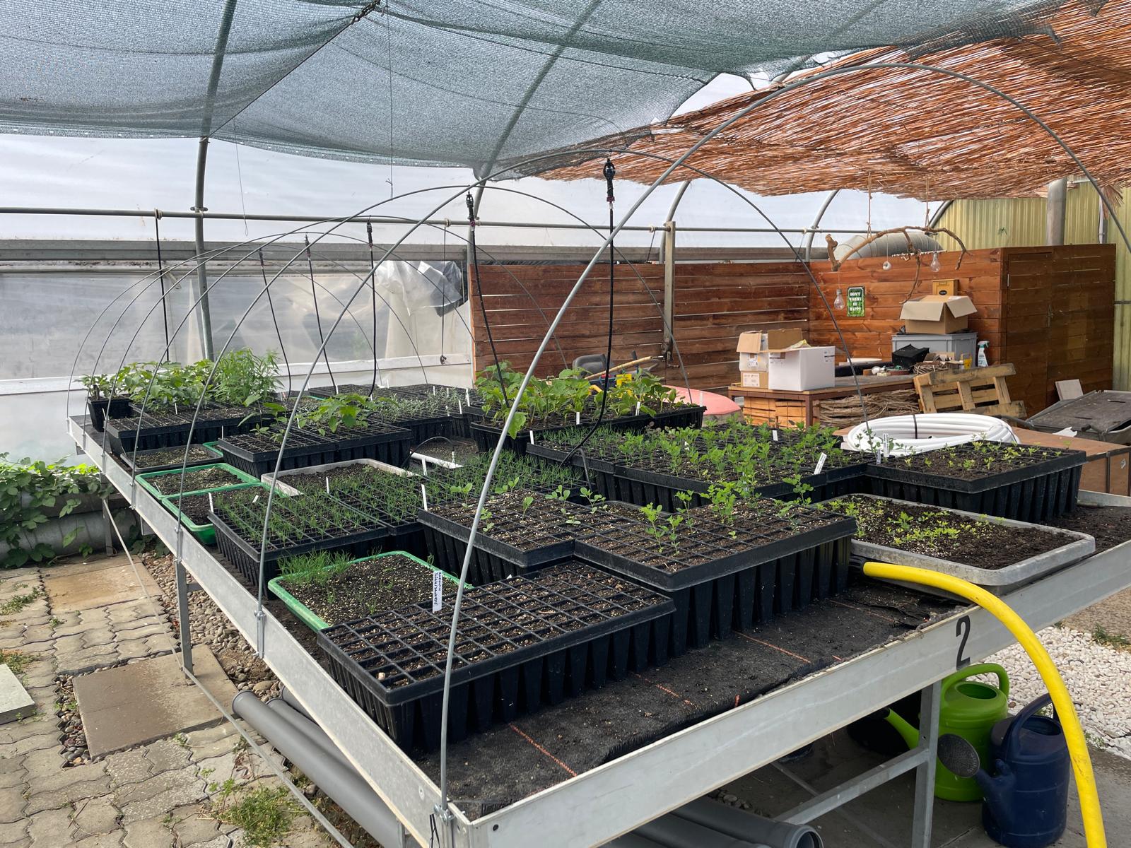 jetzt auch mit Bewässerung!