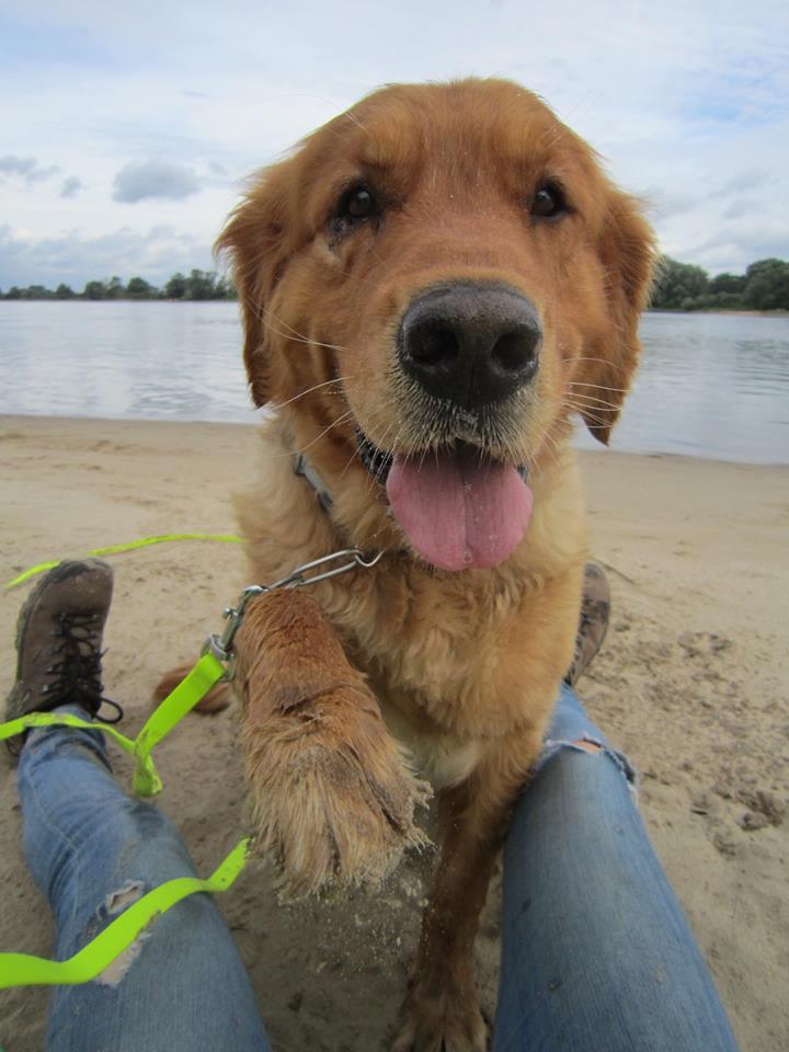 Eiko hätte gerne das Bäuchlein gekrault