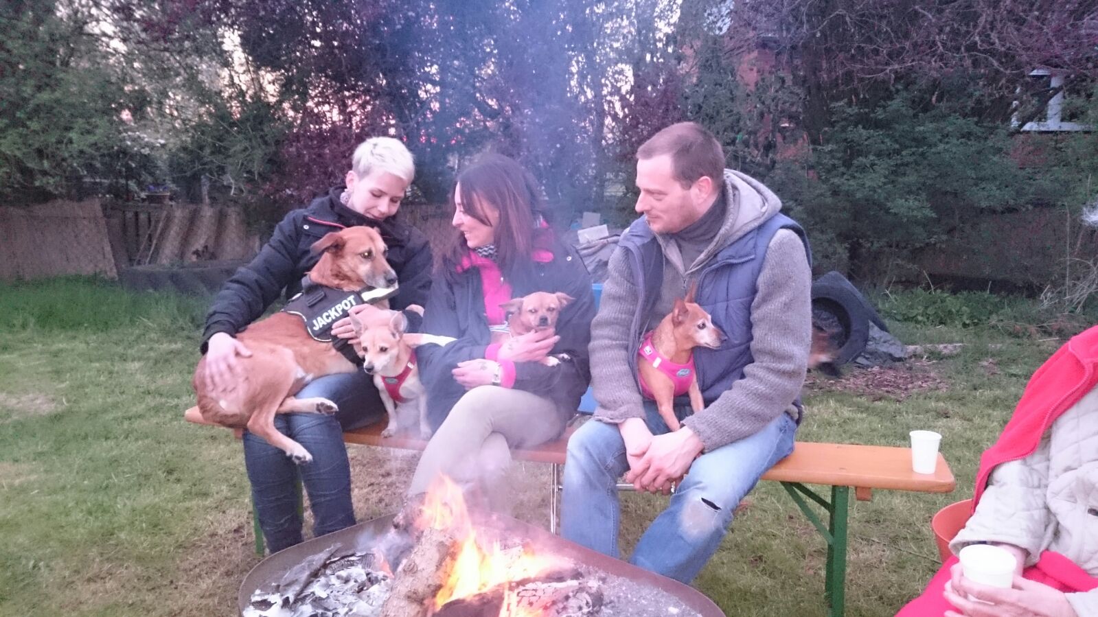 Lagerfeuer mit den Vierbeinigen Freunden genießen