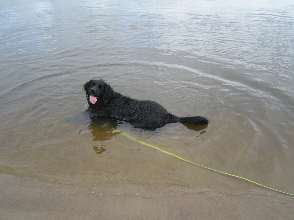 Das Wasser ist perfekt, laut Tini
