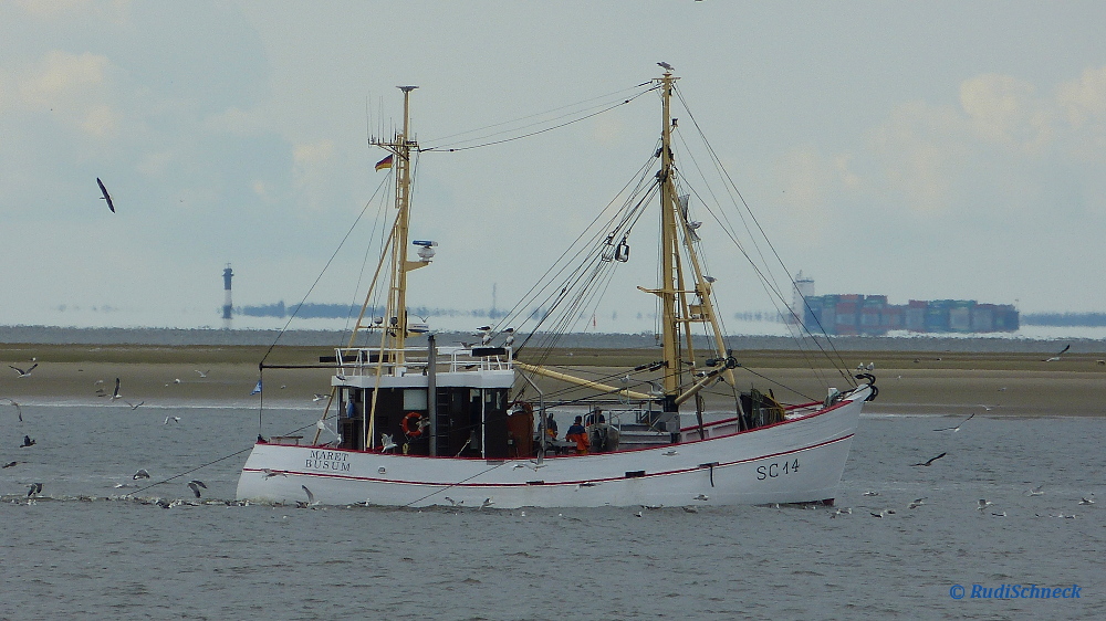 weit hinter dem Fischerboot im Mündungsstrom der Elbe ein Containerschiff