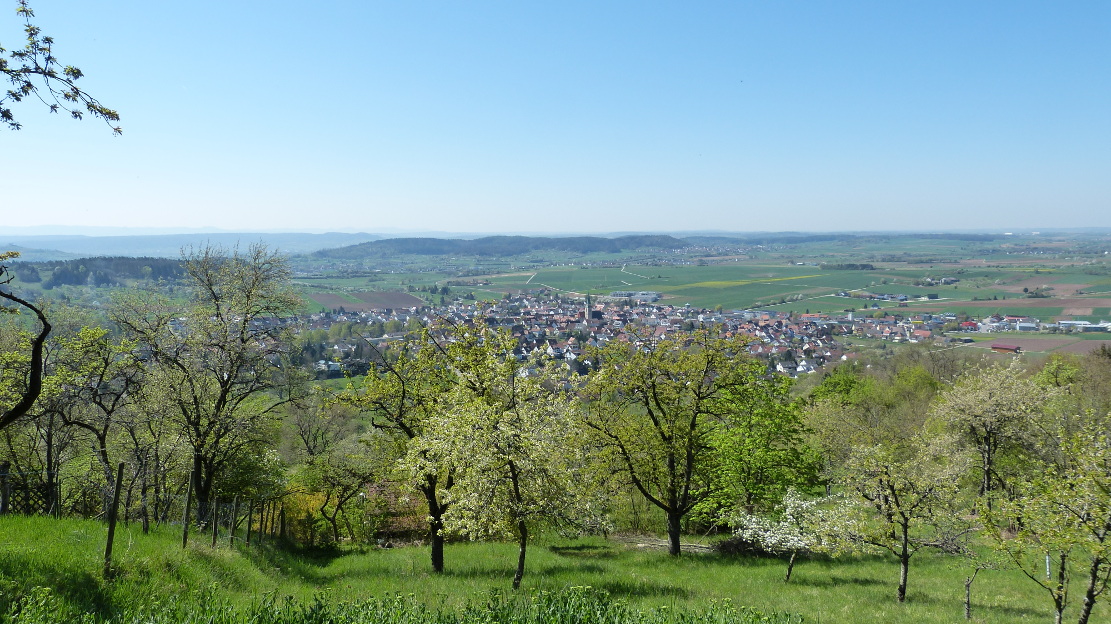 Entringen - der Hauptort von Ammerbuch