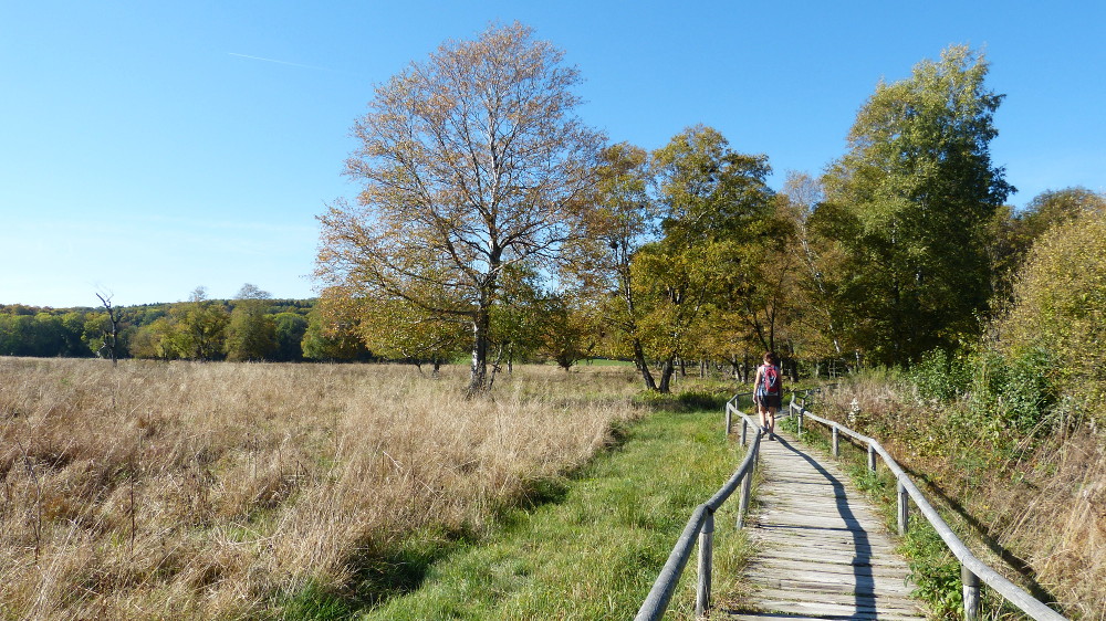 Schopflocher Moor