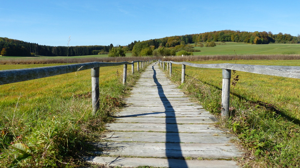 Bohlenweg durch das Schopflocher Moor