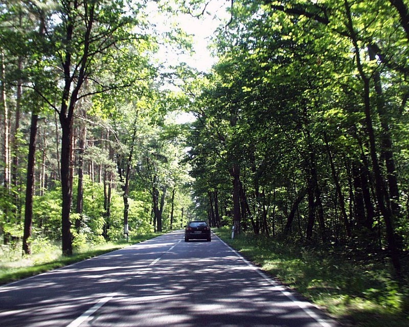 Straße zwischen Baruth und Golßen