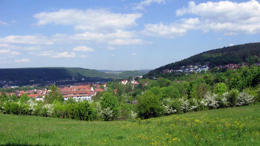 Blick auf Meiningen