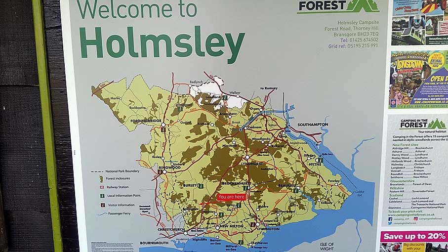 Holmsley Site