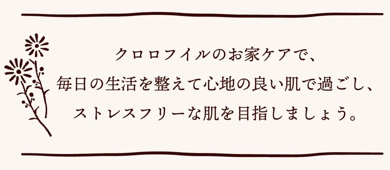 クロロフイルと毎日を整えるルーティーンケア