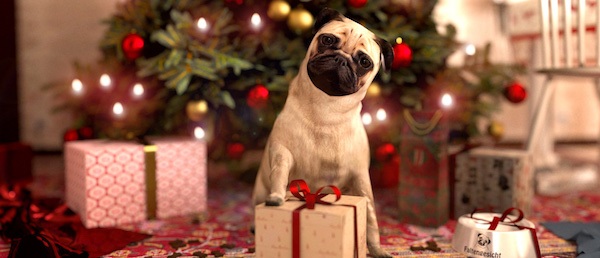 pug christmas cute presents christmas tree