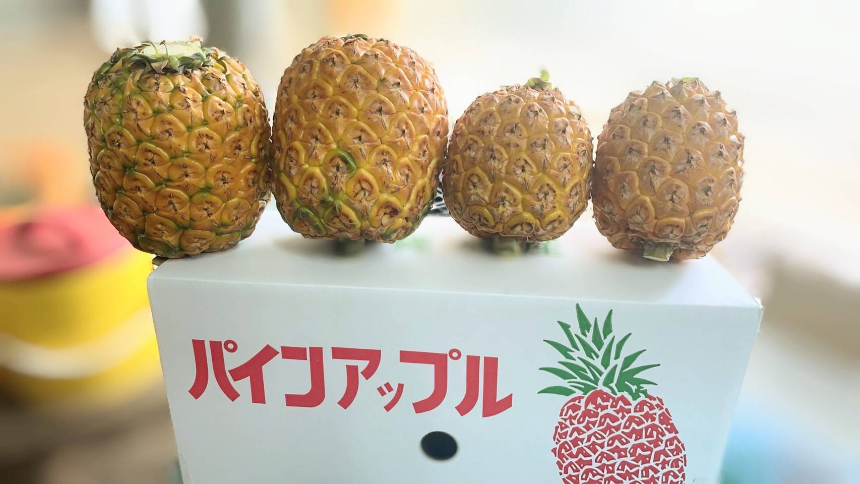 ショップ - 【公式】株式会社東物産