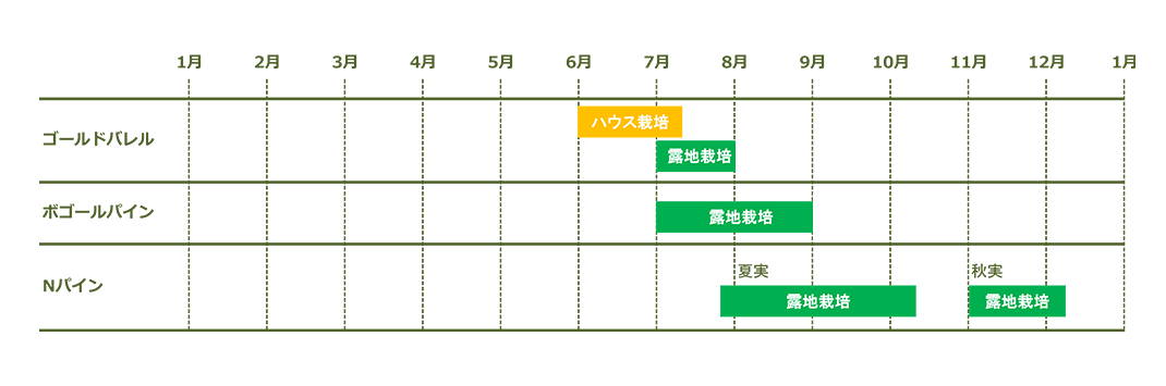 収穫カレンダー