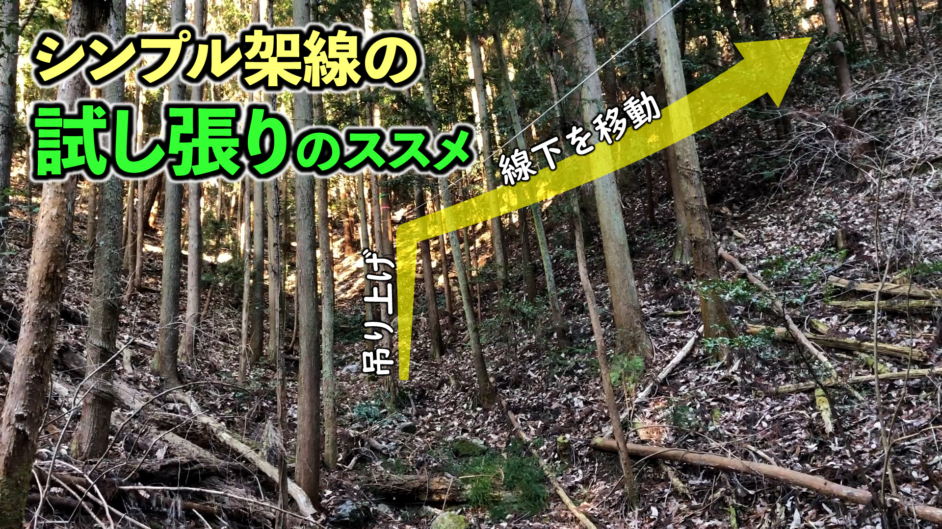 道の無い山林はシンプル架線で運ぼう