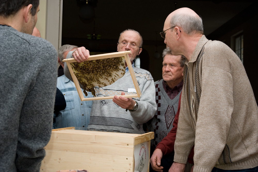 Nisthilfen und Artenschutz-Workshop (c) Alexander Schlotter | Biene sucht Blüte