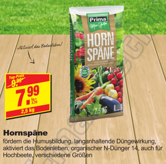 aktuelle Angebote und Aktionen - Rhn Baukauf