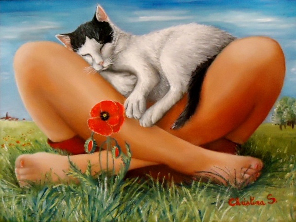 COMM'UN P'TIT COQUELICOT