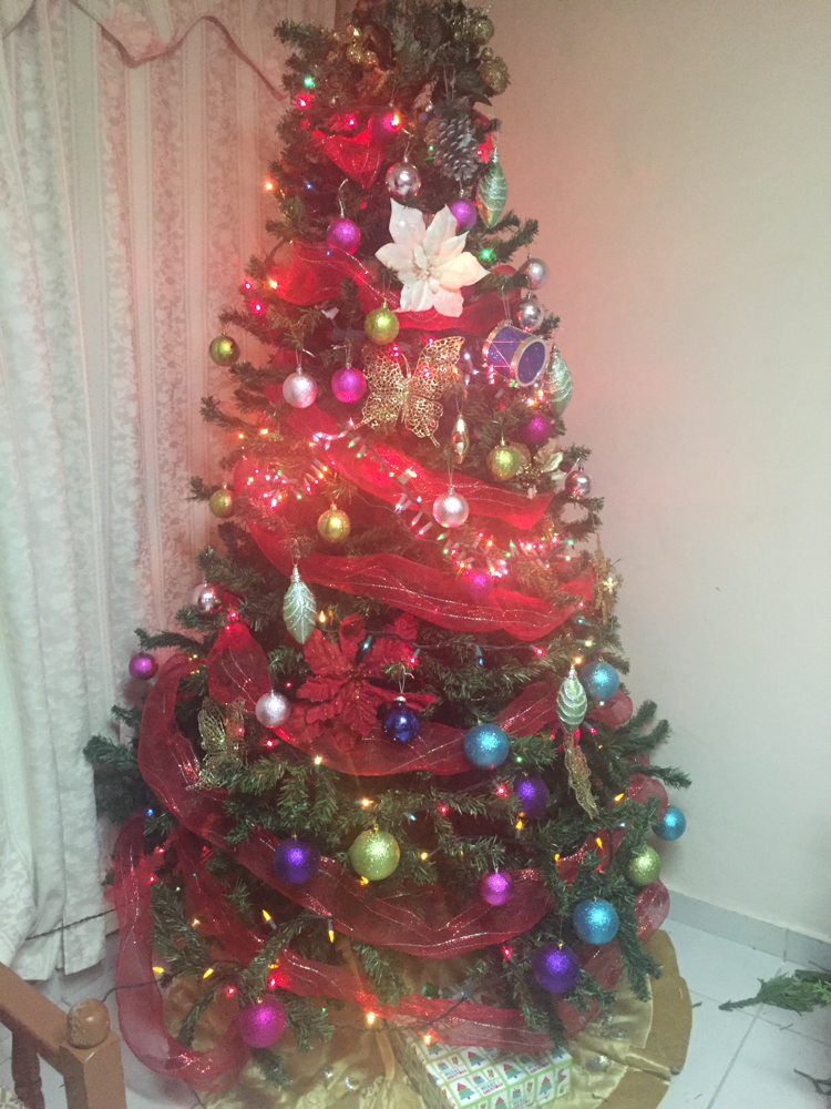 Der Weihnachtsbaum in unserem Haus