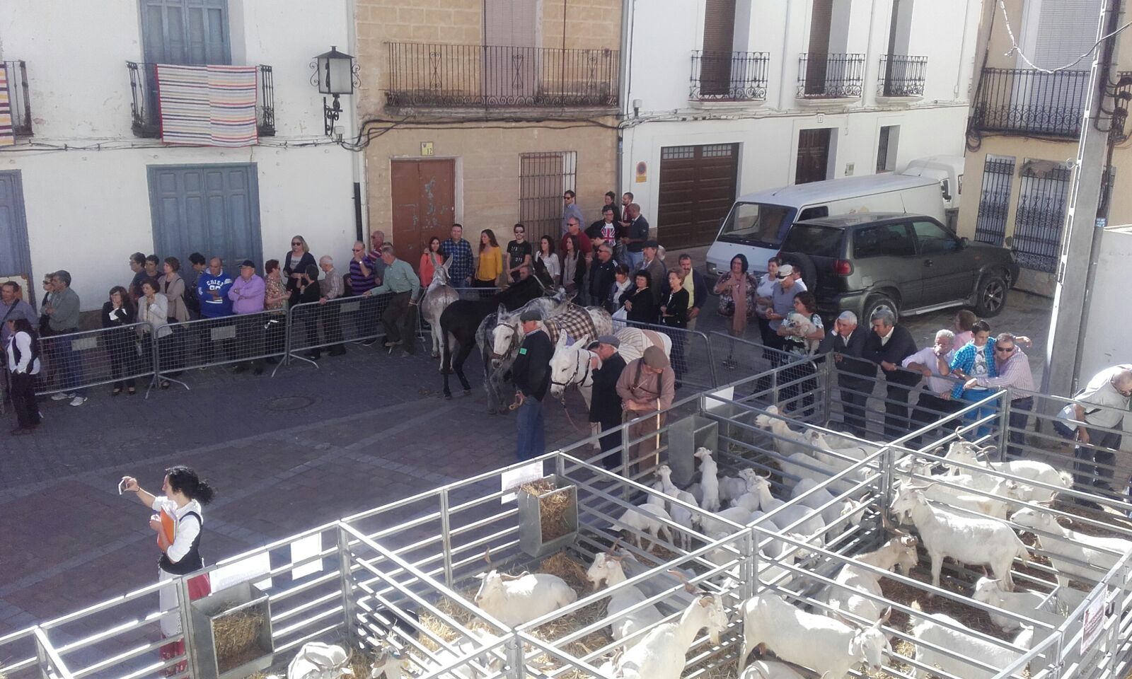 Tertulia 2016: Los Pastores "Oveja que bala bocao que pierde"