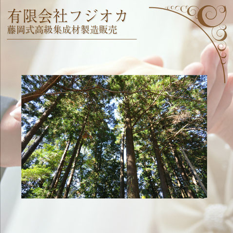幻の銘木 台湾ひのきまくら 入手困難 台湾ひのき超仕上げくず