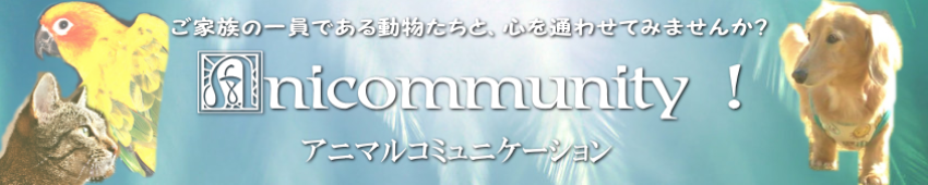 アニマルコミュニケーション　Anicommunity！佐竹一葉