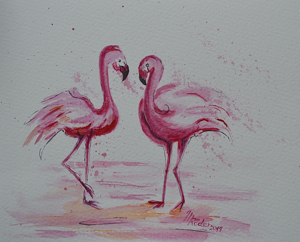 Flamingos 2019