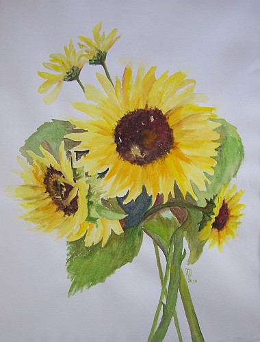 Sonnenblumen 2010