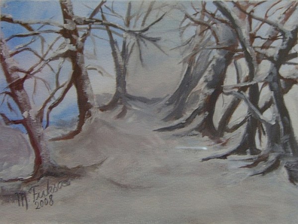 Waldweg im Winter 2008