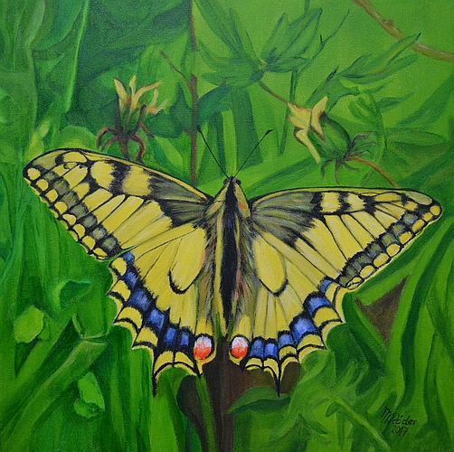 Schmetterling 2017