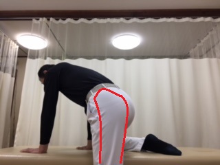 美尻、腰痛、股関節痛 、効果範囲