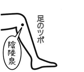 効果　むくみ、腰痛、胃腸