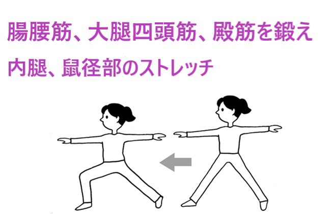 腸腰筋、大腿四頭筋、殿筋を鍛え 内腿、鼠径部のストレッチ