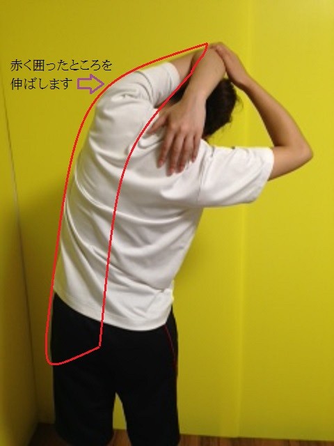 肩こり・腕の疲れ・背中のコリ・腰・美ウエストのストレッチ画像②