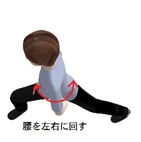 足はそのままで腰を左右に回す