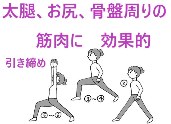 ふともも、お尻、骨盤周りの筋肉　ストレッチ