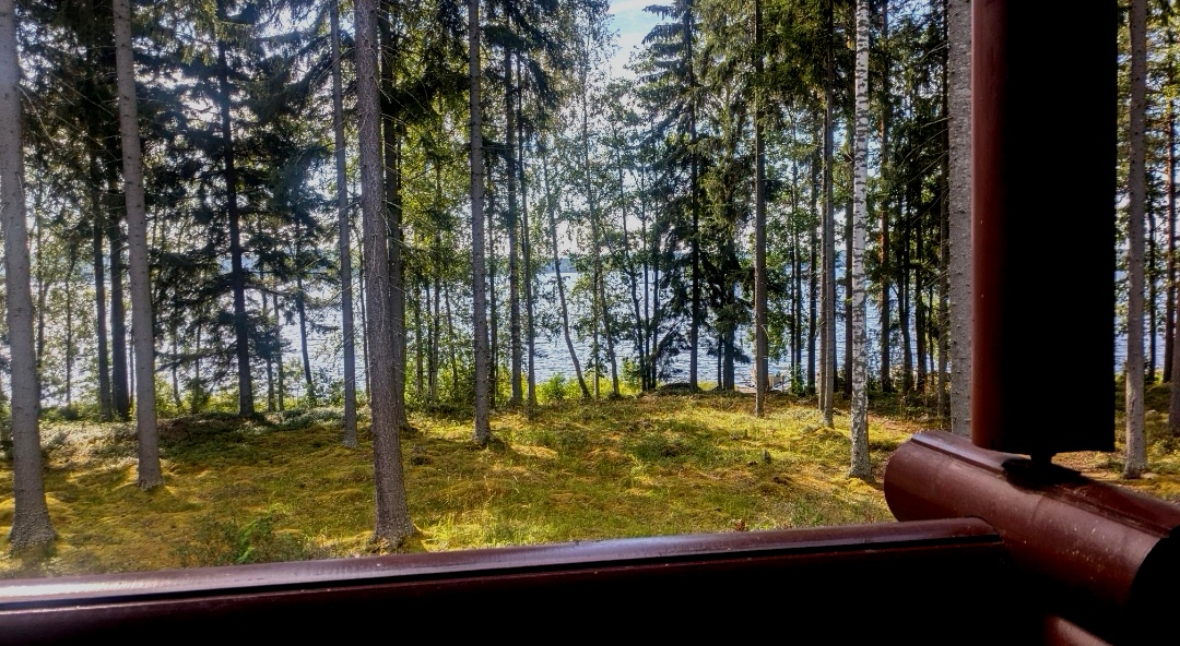 Blick von Terrasse im Sommer