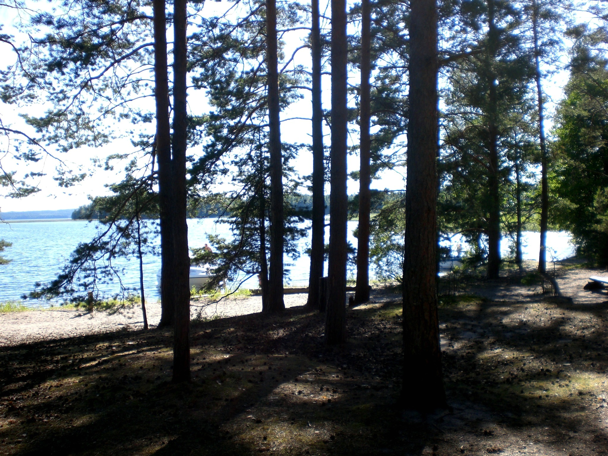 Kiefern statt Palmen an nordischen Sandstränden. Naturgeschützte große Insel Kelvenne mit kleinen, verborgenen Zeltplätzen und Feuerstellen. Tolle (Mehr-)Tagestour mit den Booten + unserem Equipment