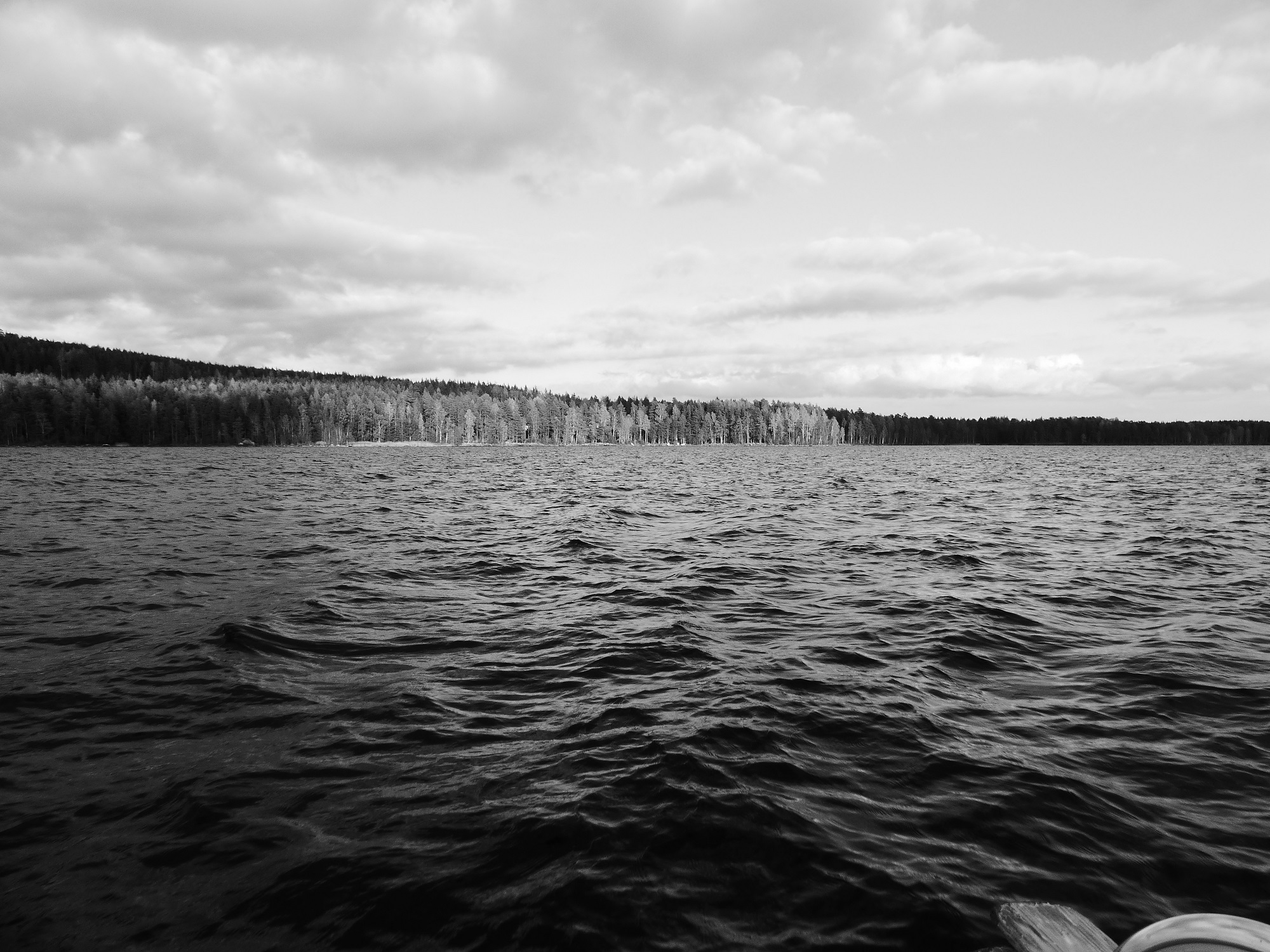 Herbst im Schilfgebiet der Bucht vor dem Haus